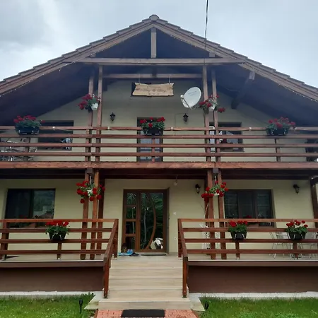 Pensiunea Deny Si Dany Guest house Ribita